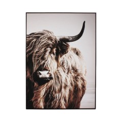 CANVAS PHOTO PICTURE HIGHLAND COW - PHOTO PRINTS